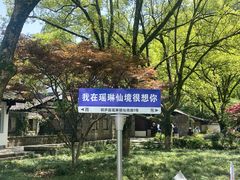 -瑶琳仙境
