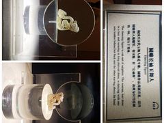 -南越王博物院