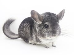 -龙猫仔乐园(惠福东路店)