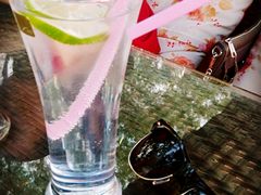 金汤力-摆渡酒吧(后海店)