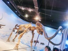 -辽宁古生物博物馆