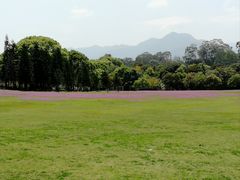 -福建鲤鱼洲酒店