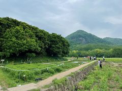 -八卦田遗址公园