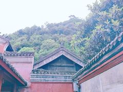 -武当山风景区