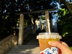 -深圳湾公园(南山区)