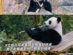 -广州长隆野生动物世界