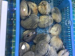 -震海贝烤贝·民俗特色店(延吉总店)