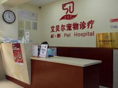 -艾贝尔宠物诊疗