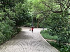 -西湖风景区-江洋畈生态公园