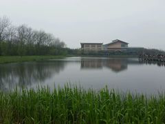 android_upload_pic-溱湖国家湿地公园