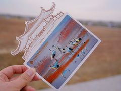 -盐城丹顶鹤湿地生态旅游区