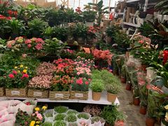 -秦美花卉(天朗·莱茵小城2期店)