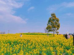 -三圣花乡旅游区