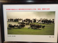 -呼伦贝尔民族博物馆