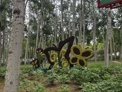 -仁和公园(顺义区)