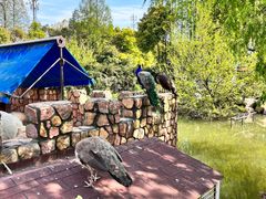 -金庭庄园酒店-停车场