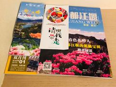 -都江堰中心国际酒店