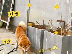 -隹木咖啡馆(宝龙广场店)