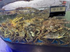 -蟹之国·精品蟹料理(极地店)