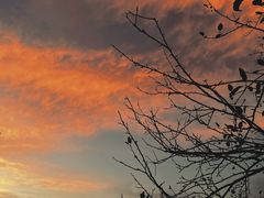 -天鹅湖体育公园