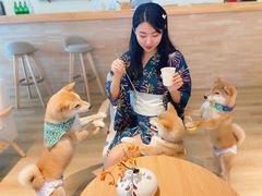 -柴犬小屋·柴餐厅·狗咖食堂(金鼎广场店)