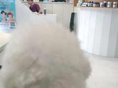 -关爱宠物医院·猫科中心·消化科(滨湖万达分院)