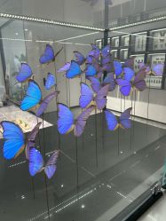 -酷嗒动物文化乐园(cutezoo西溪乐天城店)