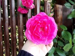 -南京市无想山景区