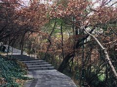 -虞山风景区