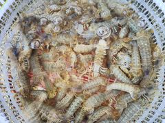 -东戴河风景区-止锚湾