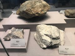 -湖南省地质博物馆