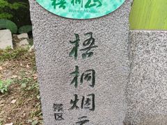 -梧桐山风景名胜区