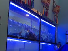 -云中鱼蒸汽石锅鱼(川沙百联店)