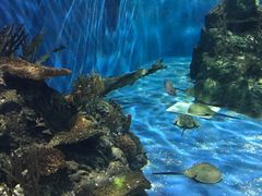 -梦幻海洋王国(吾悦广场张家港店)