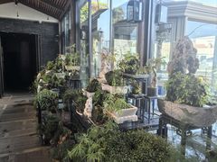 -川旺角川粤融合菜•海景餐厅(星海广场店)