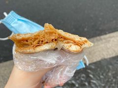 -孙奶奶葱包桧