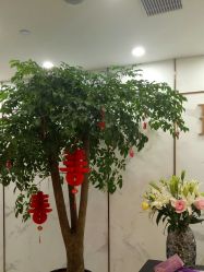 点击看大图 -嘉和医学脱毛中心