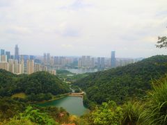 -桃花岭景区