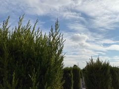 -上海望仙安息园