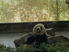 -上海野生动物园