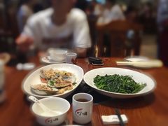 -顺德了能馆(虎门店)