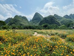 -村上春树