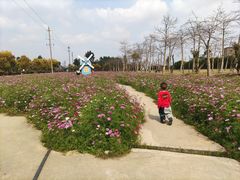 -广东花都香草世界旅游度假区