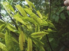 -南京市江宁方山