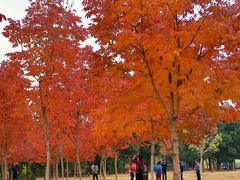 -北京西山国家森林公园