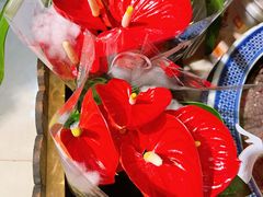 -双季花艺园艺市场(浦东店)