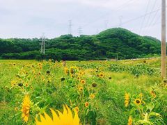 -石峰岩寺