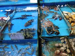 -御满江海鲜酒家(洛溪新城店)
