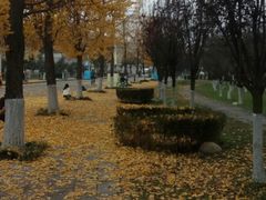 -成都中医药大学(温江校区)