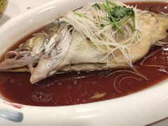 -七菜馆·东北菜·蒸饺(文体路店)